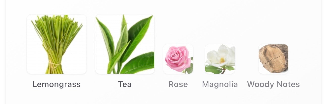 Louis Vuitton – Rain Tea
