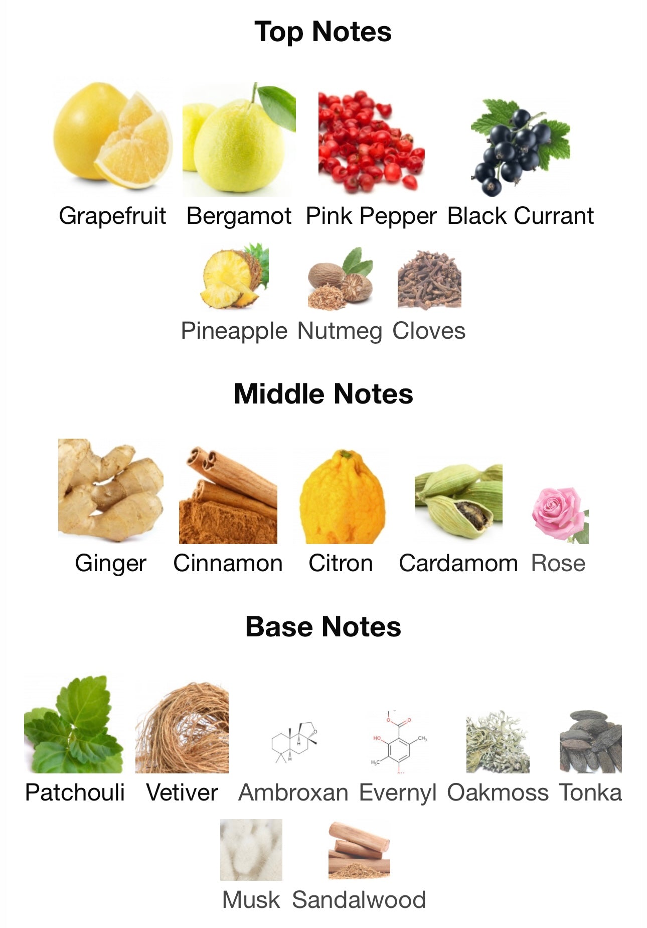 Creed Absolu Aventus