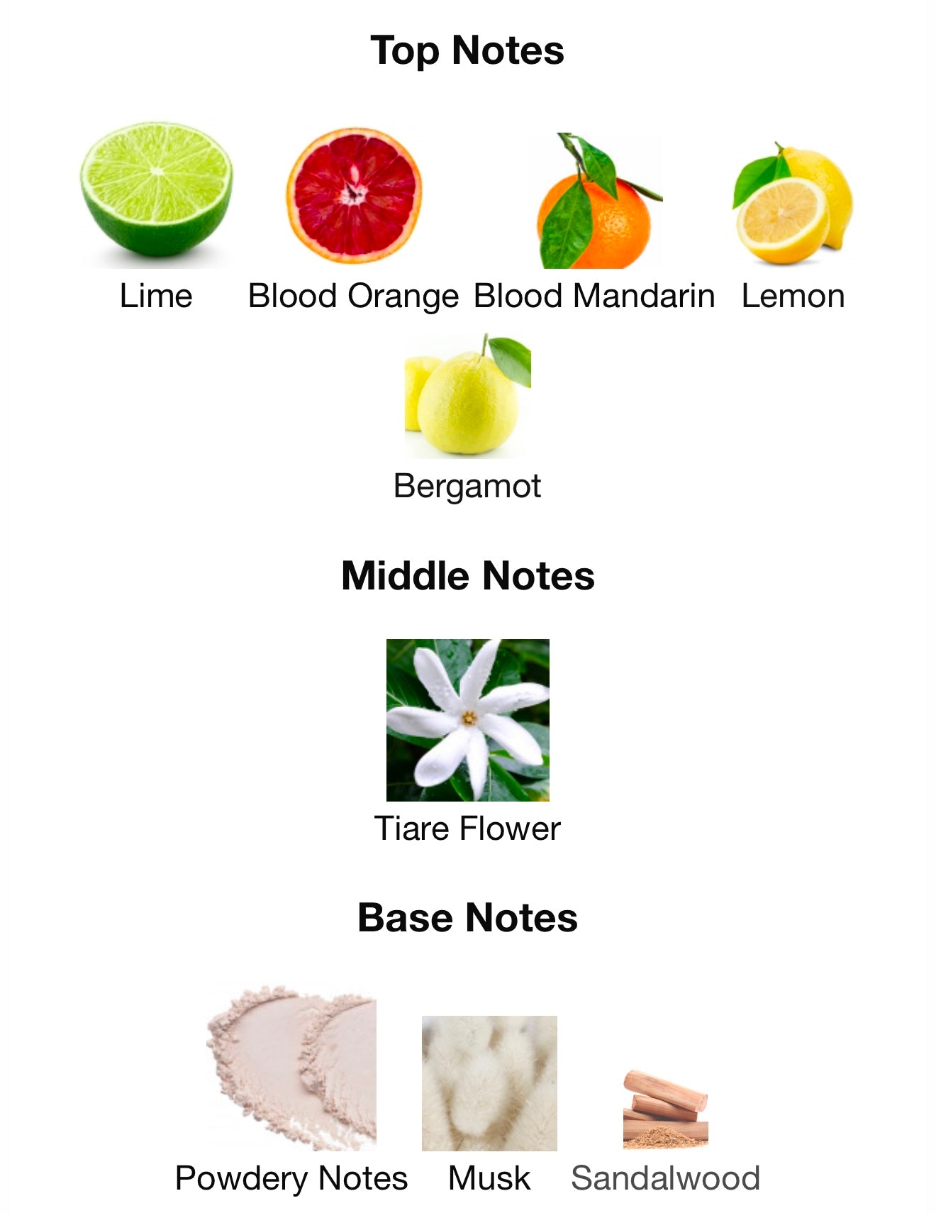 Louis Vuitton – City of Stars