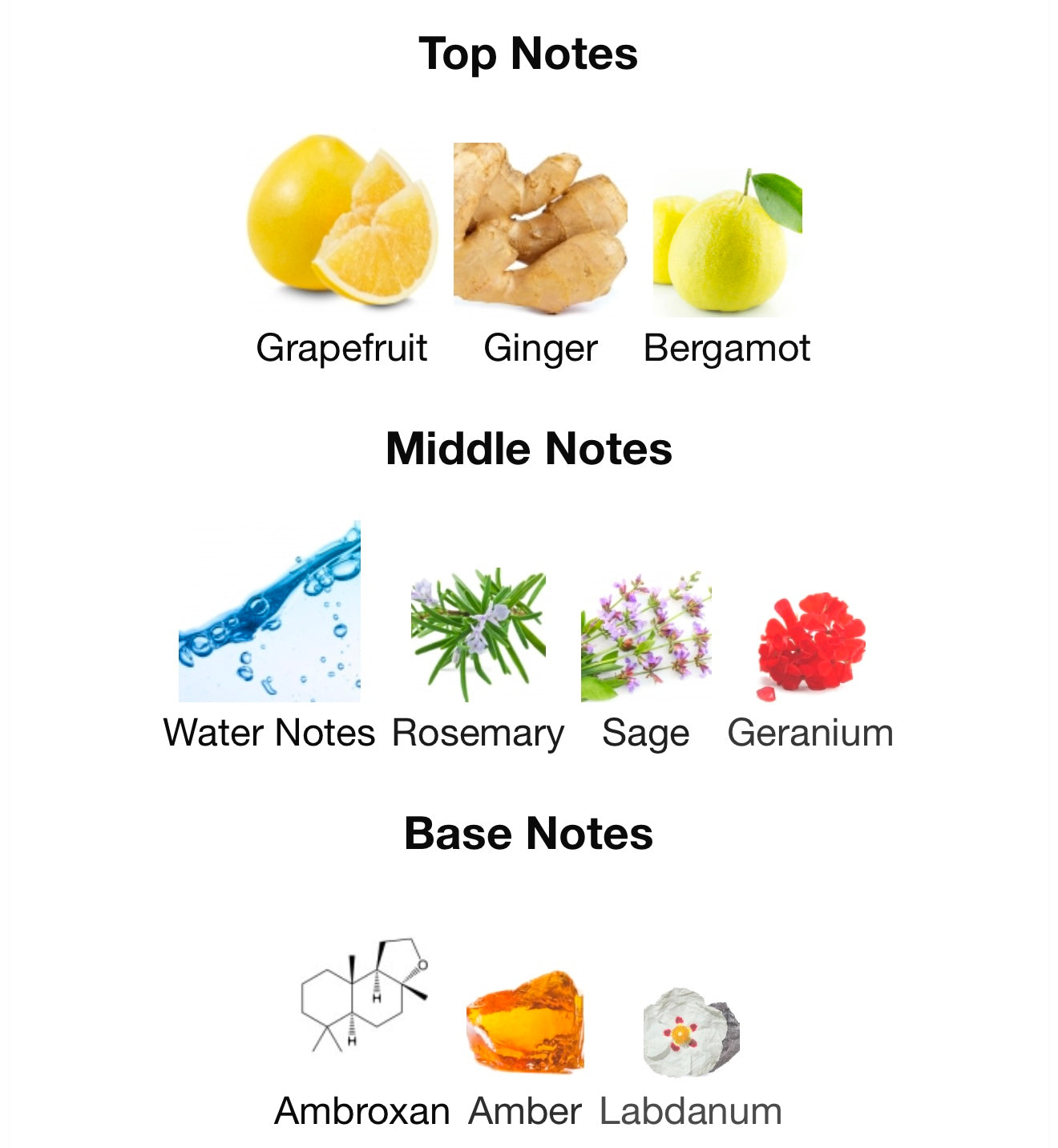 Louis Vuitton – L’Immensité