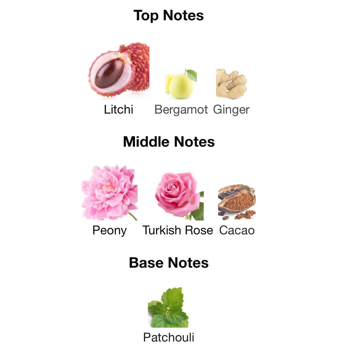 Louis Vuitton – Attrape-Rêves