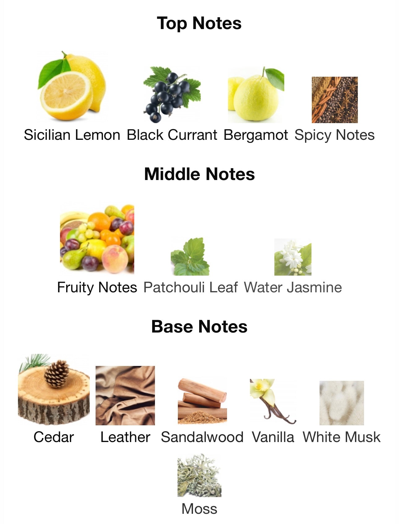 Mancera Cedrat Boise