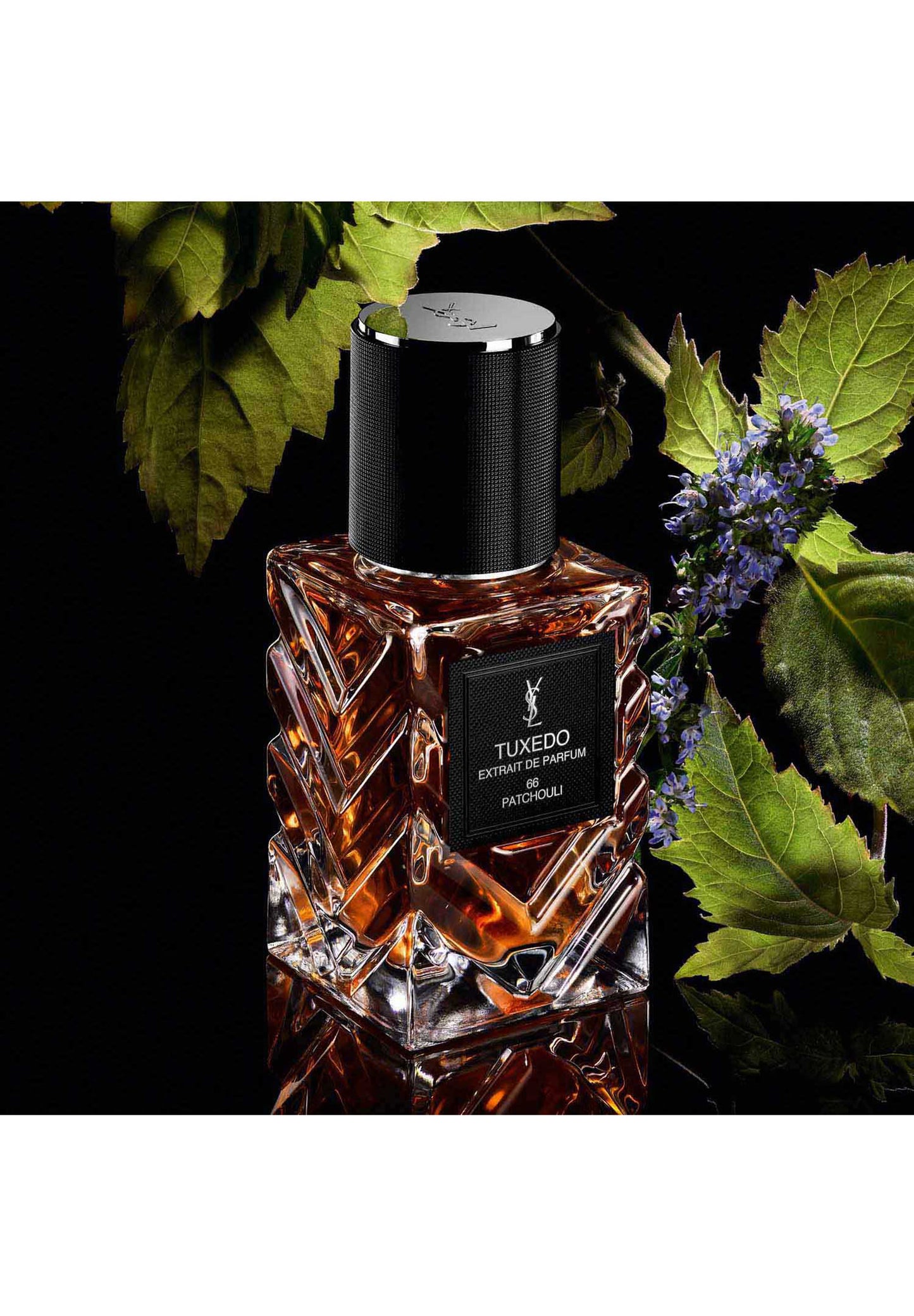 YSL - Tuxedo Extrait de Parfum 66 Patchouli