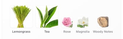 Louis Vuitton – Rain Tea